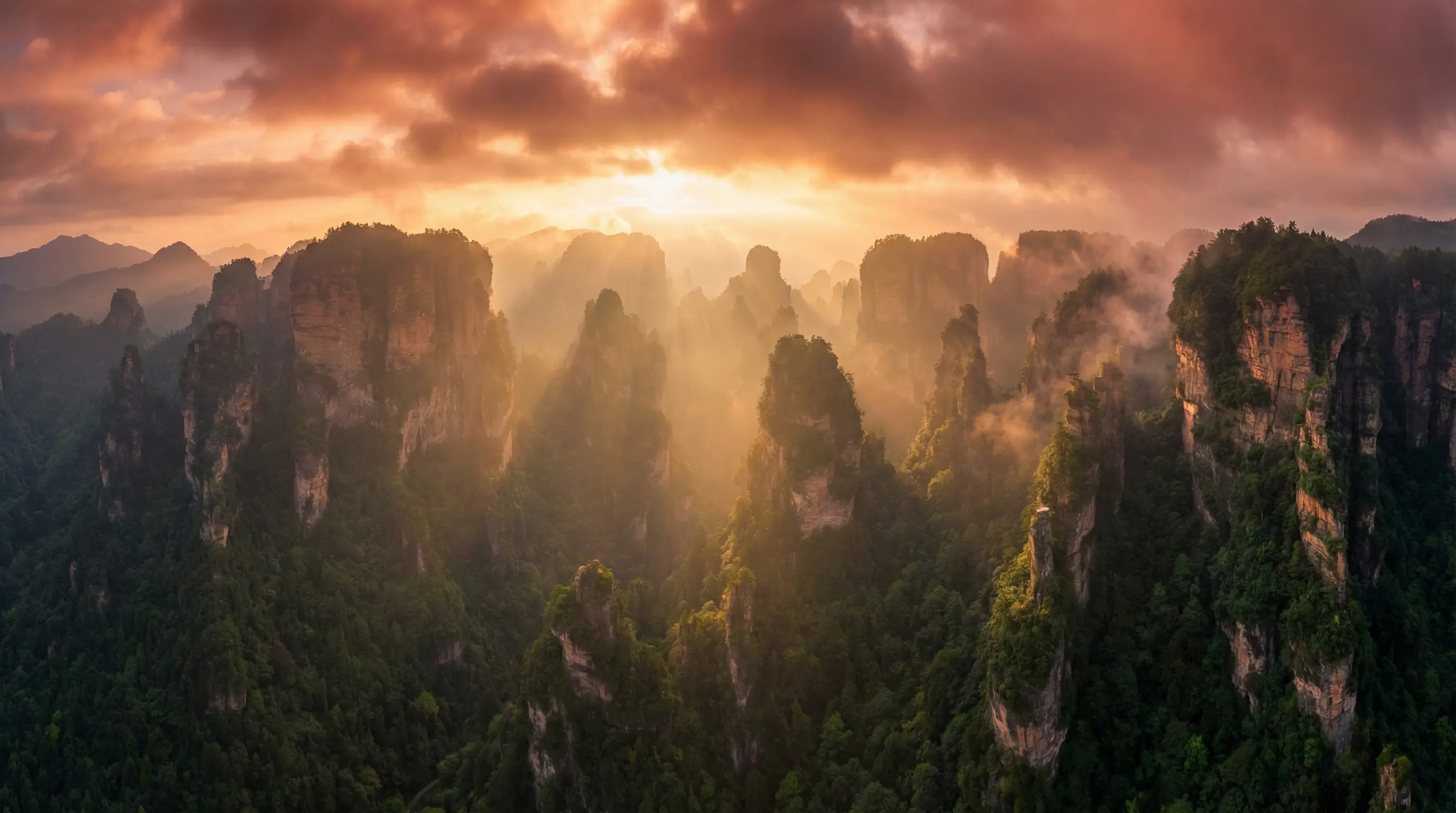 免费生活片 自然风光视频封面